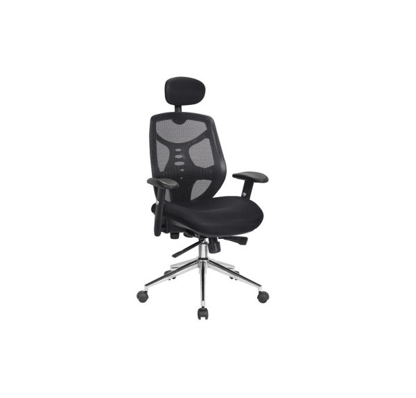 Polaris Ergonomic Executive Mesh Chair (Black)