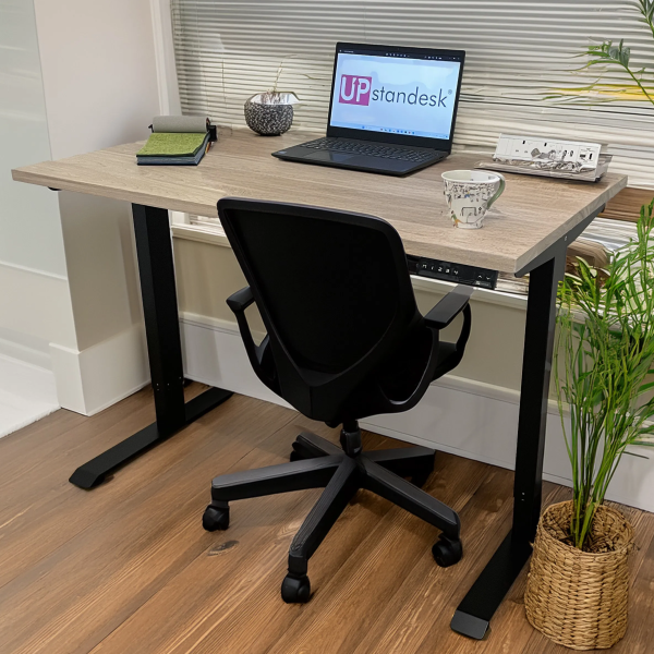Real Wood Smooth Ash Top, Dual Motor Electric Standing Desk