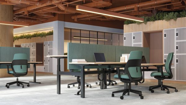 Motion Single & Back to Back Electric Standing Desk